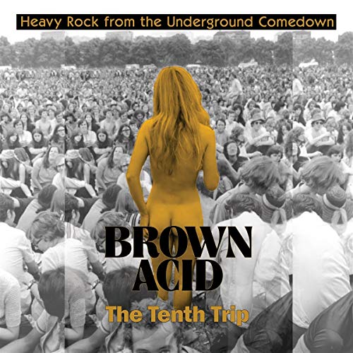 Brown Acid: the Tenth Trip [Vinyl LP] von RIDING EASY