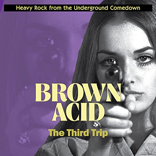 Brown Acid: the Third Trip [Vinyl LP] von RIDING EASY