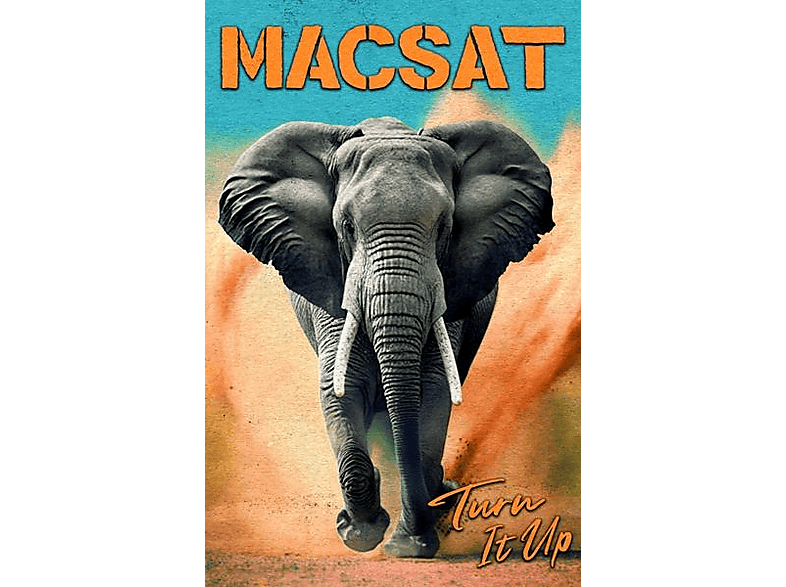 Macsat - Turn It Up (MC (analog)) von RING OF FI