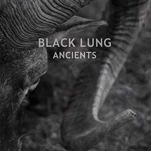 Ancients [Vinyl LP] von RIPPLE MUSIC