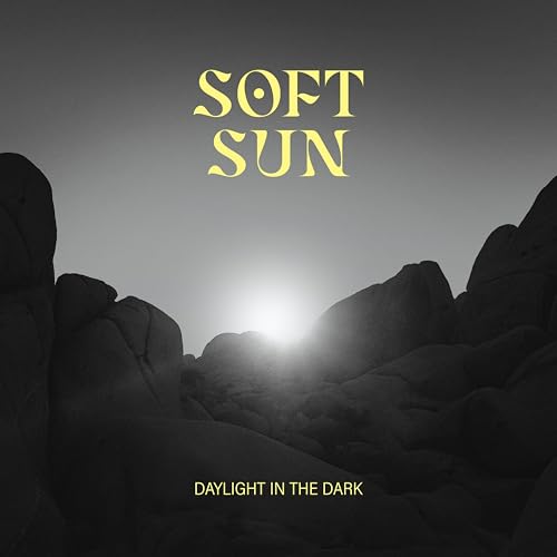 Daylight in the Dark [Vinyl LP] von RIPPLE MUSIC