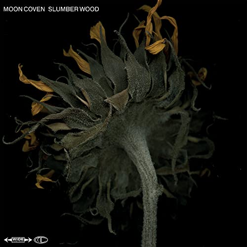 Slumber Wood [Vinyl LP] von RIPPLE MUSIC