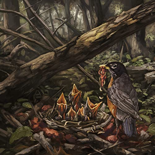 Step Into the Light Step Into the Light von RISE RECORDS / ADA