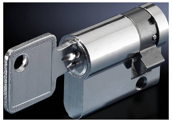 Rittal Profilhalbzylinder CS 9785040 1=1 Rittal Profilhalbzylinder CS 9785040 1=1 von RITTAL GmbH & Co. KG