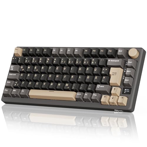 RK ROYAL KLUDGE M75 Gaming Tastatur kabellos 75% Prozent TKL Mechanische Tastatur RGB 2,4 GHz Wireless/Bluetooth/USB-C QWERTZ mit OLED-Smart-Display und Knopf Hot Swappable Braune Schalter, Grau von RK ROYAL KLUDGE