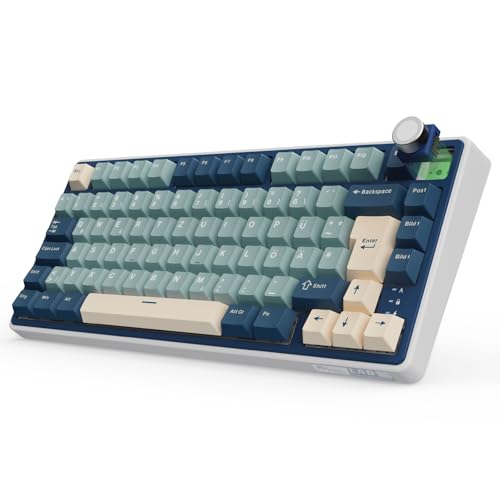 RK ROYAL KLUDGE R75 Mechanische Tastatur Kabellos 75%, Gasket Gaming Tastatur 75 Prozent TKL mit Knopf QWERTZ RGB Bluetooth/2.4G/USB-C PBT Tastenkappen QMK/VIA, Hot Swap Linearer Creamy Switches von RK ROYAL KLUDGE