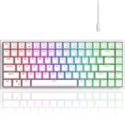 RK ROYAL KLUDGE RK84 Wired RGB 75% Hot-Swap-fähige mechanische Tastatur, 84 Tasten Tenkeyless TKL Gaming-Tastatur mit programmierbarer Software und Hochleistungsakku, RK Blue Switch von RK ROYAL KLUDGE