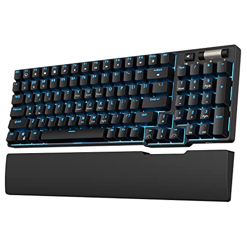 RK ROYAL KLUDGE RK96 90% 96 Tasten BT5.0/2.4G/USB-C Hot-Swap-fähige mechanische Tastatur, drahtlose mechanische Bluetooth-Tastatur mit magnetischer Handauflage, Blaue Backlight (Braune Schalter) von RK ROYAL KLUDGE