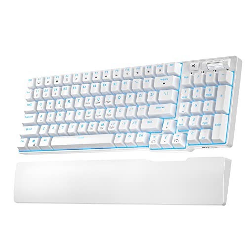 RK ROYAL KLUDGE RK96 90% Triple Mode BT5.0/2.4G/USB-C Hot Swappable Mechanische Tastatur mit Handauflage, 96 Tasten Bluetooth Gaming Keyboard mit Software, Blaue backlicht, Blaue Schalter von RK ROYAL KLUDGE