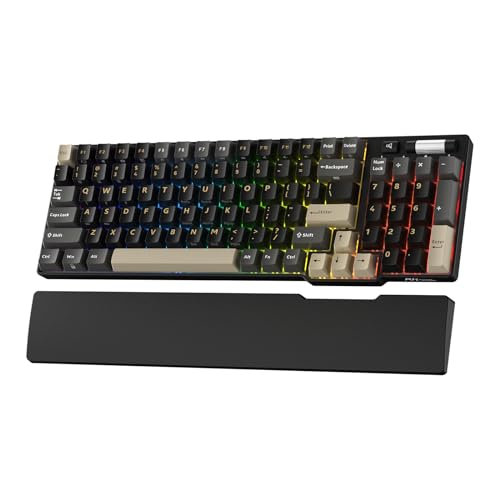 RK ROYAL KLUDGE RK96 RGB Limited Ed, 90% 96 Tasten Kabellose Tri-Modus BT5.0/2.4G/USB-C Hot-Swap-fähige Mechanische Tastatur mit Handballenauflage, Software-Unterstützung, Linearer Chromgrün Schalter von RK ROYAL KLUDGE