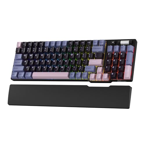 RK ROYAL KLUDGE RK96 RGB Limited Ed, 90% 96 Tasten Kabellose Tri-Modus BT5.0/2.4G/USB-C Hot-Swap-fähige Mechanische Tastatur mit Handballenauflage, Software-Unterstützung, Taktile Hellgrüne Schalter von RK ROYAL KLUDGE