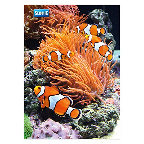 RNK 4512 Zeichenmappen, Zeichenunterlagen A3 Sea Life von RNKVERLAG