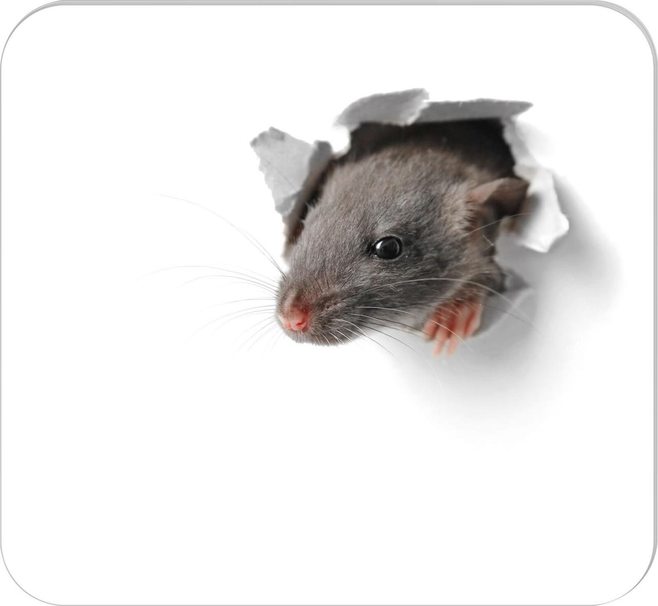 RNK-Verlag Mousepad-Notizblock Maus von RNK-Verlag