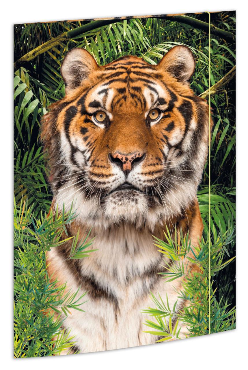 RNK-Verlag Zeichenmappe A3 Tiger RNK-Verlag Zeichenmappe A3 Tiger von RNK-Verlag
