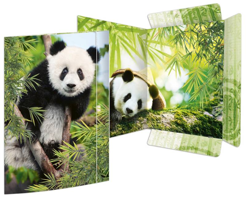 RNK Verlag Zeichnungsmappe , Panda, , DIN A3 von RNK Verlag