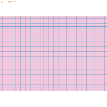 RNK Karteikarten A5 kariert 170 g/qm rosa VE=100 Stück RNK Karteikarten A5 kariert 170 g/qm rosa VE=100 Stück von RNK