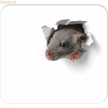RNK Mousepad-Block 24x22cm 30 Blatt 'Mausi' RNK Mousepad-Block 24x22cm 30 Blatt 'Mausi' von RNK