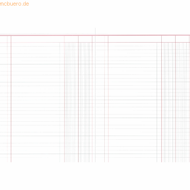 RNK Spaltenbuch A4 kartoniert 2 Spalten/1 Seite 30 Blatt von RNK