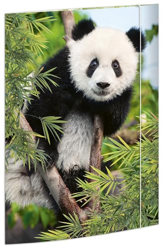 RNKVERLAG 45376 - Zeichenmappe Panda 310 x 440 mm, Dokumentenmappe für DIN A3, mit Gummizugverschluss, 1 Stück RNKVERLAG 45376 - Zeichenmappe Panda 310 x 440 mm, Dokumentenmappe für DIN A3, mit Gummizugverschluss, 1 Stück von RNKVERLAG