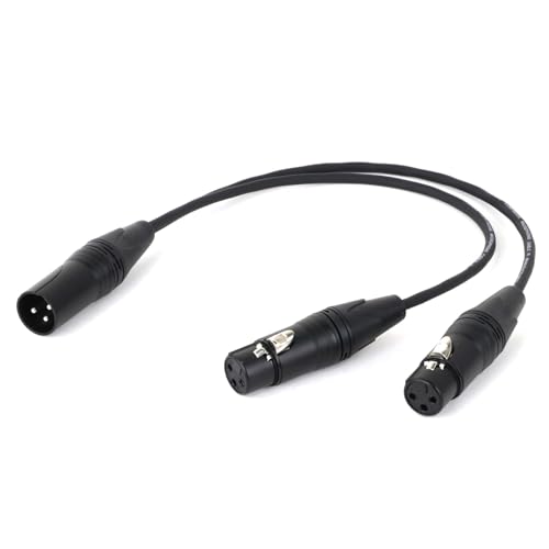 ROBAUN 3-PinMale Stecker Auf Dual 2 Weibliche Jack Y Splitter Mic DJ Kabel Adapter for DVD-Player Mikrofon(D1003-Black,2.9M) von ROBAUN