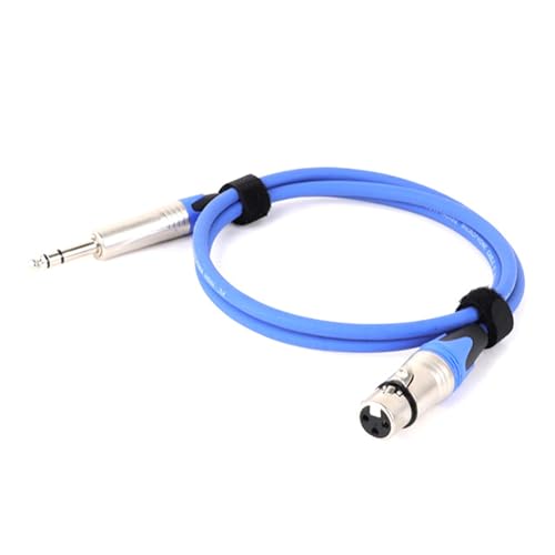 ROBAUN Buchse auf 6,35 mm 6,5 mm symmetrisches Audiokabel Stereo-Mikrofon Mischpult Soundkarte Verlängerungsleitung(Blu,0.29m) von ROBAUN