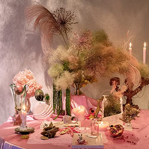 Still Life [Vinyl LP] von ROCHE MUSIQUE