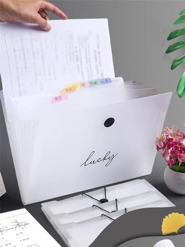 Basics Expanding File Folder Organiser, 1 Stück A4-Fächerordner mit 8 Fächern Basics Expanding File Folder Organiser, 1 Stück A4-Fächerordner mit 8 Fächern von ROJDFCNBW