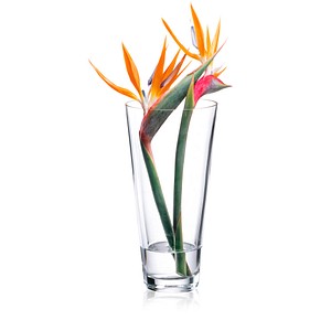 RONA Vase Ambiente transparent RONA Vase Ambiente transparent von RONA