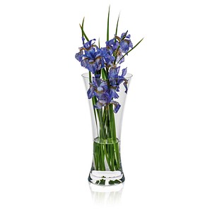RONA Vase Ambiente transparent RONA Vase Ambiente transparent von RONA