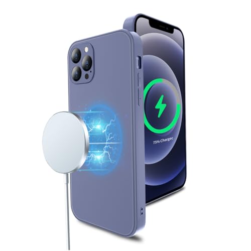 RORPOIR Magnetische Glasschale gefrostetes Glas Handytasche Telefon schutzhülle zarte Telefonabdeckung Blau RORPOIR Magnetische Glasschale gefrostetes Glas Handytasche Telefon schutzhülle zarte Telefonabdeckung Blau von RORPOIR