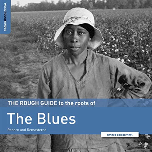 Rough Guide: the Blues [Vinyl LP] von ROUGH GUIDE