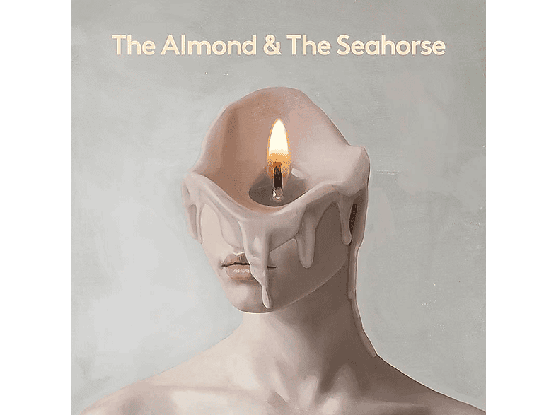 Gruff Rhys - The Almond And the Seahorse/OST (Vinyl) von ROUGH TRAD