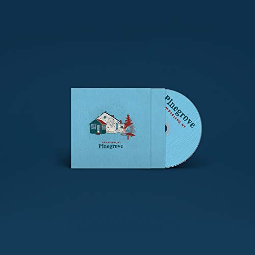 Amberland Sessions [Vinyl LP] von ROUGH TRADE RECORDS