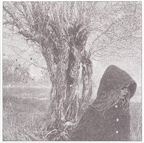 Between the Earth and Sky [Vinyl LP] von Rough Trade
