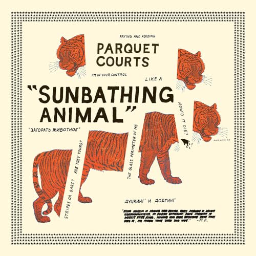 Sunbathing Animal [Vinyl LP] von Rough Trade
