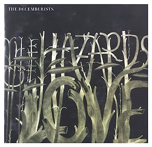 The Hazards of Love The Hazards of Love von Rough Trade