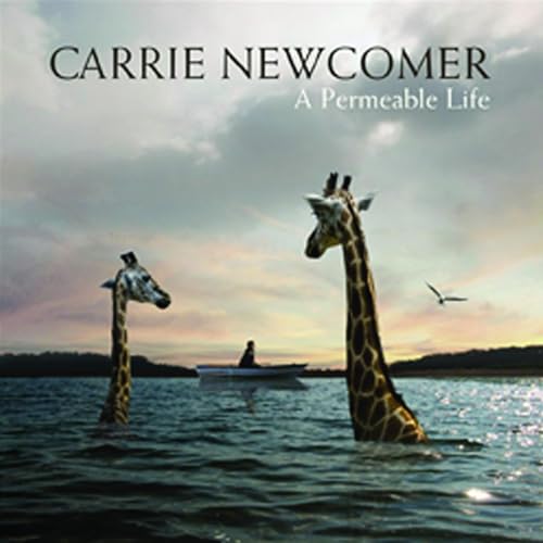 A Permeable Life von ROUNDER