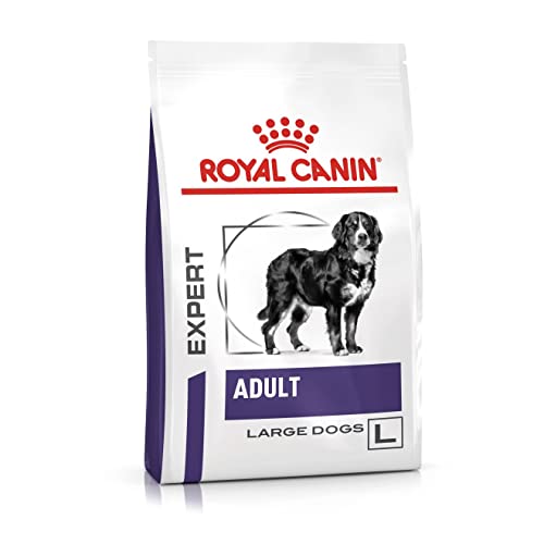 ROYAL CANIN Adult Large - Dry Food 13 kg von ROYAL CANIN