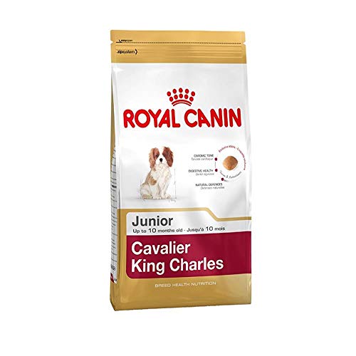 Royal Canin BHN Cavalier King Charles Spaniel Puppy - Dry Puppy Food - 1.5kg von ROYAL CANIN