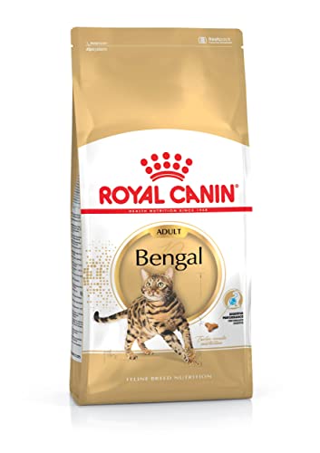 Royal Canin FBN Bengal Adult - Dry cat Food - 10kg von ROYAL CANIN