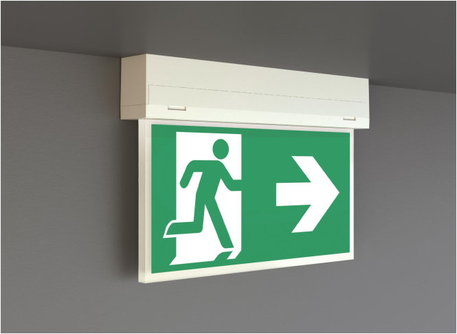 RP Notleuchte weiß 4,6W IP54 KSU013SC 3h EKW 22m Wand/Decke m.Scheibe / 5J RP Notleuchte weiß 4,6W IP54 KSU013SC 3h EKW 22m Wand/Decke m.Scheibe / 5J von RP-Technik GmbH