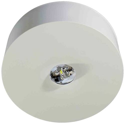 RP Technik ILDF029ML Sicherheitsleuchte Deckenmontage RP Technik ILDF029ML Sicherheitsleuchte Deckenmontage von RP Technik