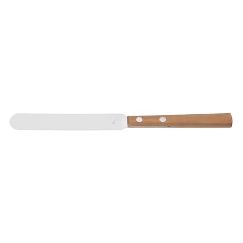 RSG Klinge Chromstahl Apothekerspatel mit Kunststoffgriff, Extrem Flexible, 100mm Länge, 20mm Breite, 10 Stück von RSG