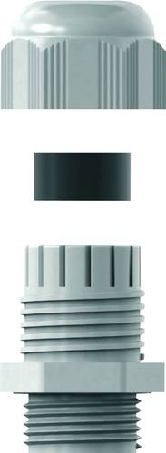 RST 12085034 Kabelverschraubung 3/4'' NPT Polyamid 6 25St. RST 12085034 Kabelverschraubung 3/4'' NPT Polyamid 6 25St. von RST