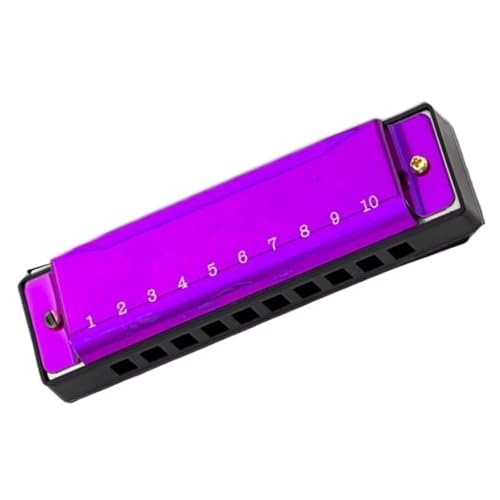 10 Loch 10 Noten C Mundharmonika Geeignet Für Anfänger Und Erwachsene(Purple) von RTNGFHYT