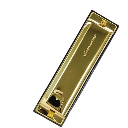 10 Loch Blues Mundharmonika 20 Töne Metallplatte(Golden) von RTNGFHYT