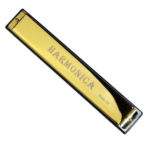 24 Loch Blues Mundharmonika Metallpiano Für Anfänger Geeignet Mit Pianokoffer(Gold) von RTNGFHYT