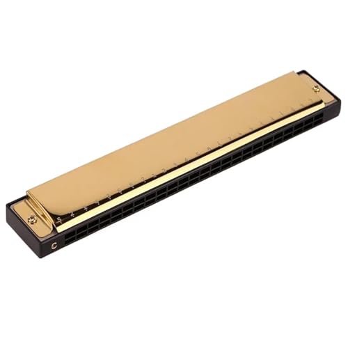 24 Loch C Akkord Mundharmonika Für Anfänger Erwachsene Und Professionelle Darbietungen(Gold) von RTNGFHYT