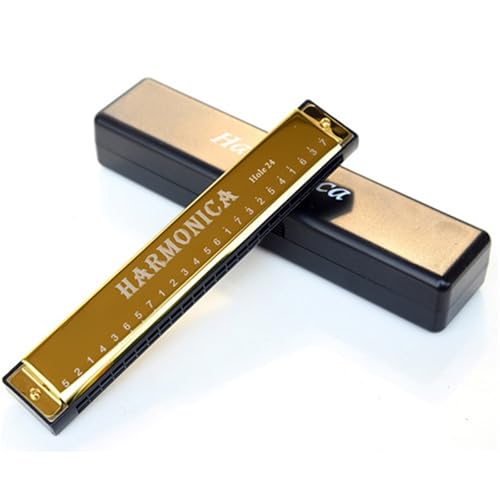 24 Loch Einzelton C Mundharmonika Aus Titan(Gold) von RTNGFHYT