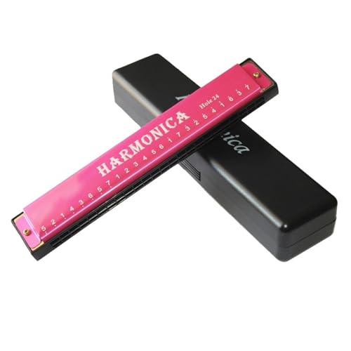 24 Loch Einzelton C Mundharmonika Aus Titan(Pink) von RTNGFHYT
